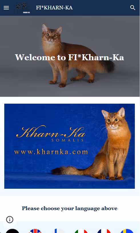 Somali-kissojen Mobile Preview